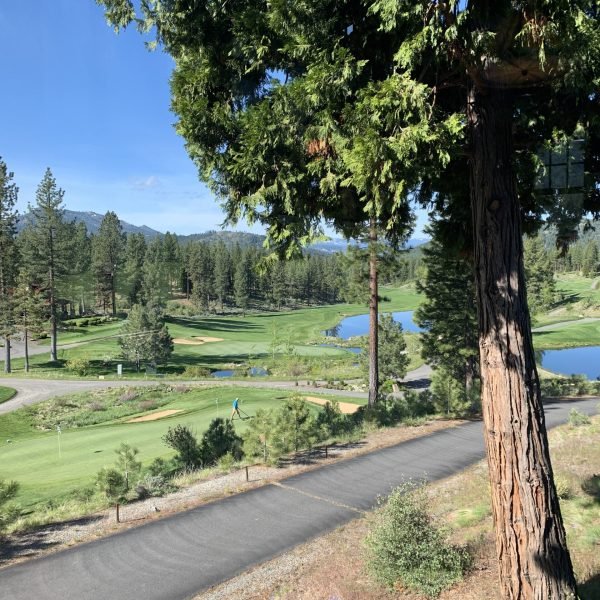 58083865067__73C7FD3E-8967-4E31-ABD5-C9554F6412F9